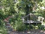 Bench in the shade garden