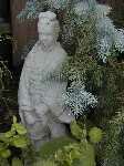Japanese garden statue and conifer